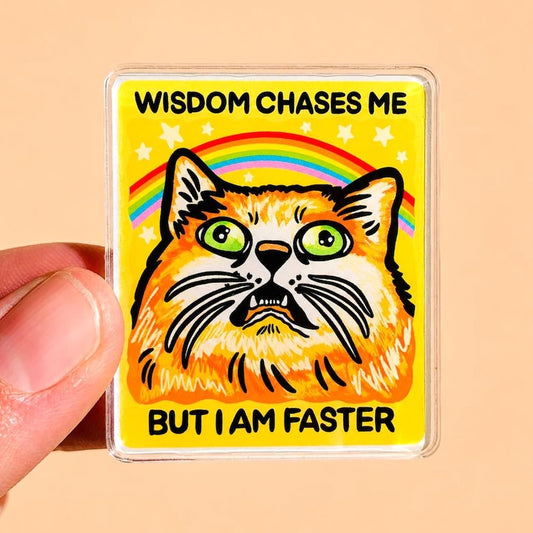 Orange Cat Magnet Sarcastic Gift Idea Funny Fridge Decor Kitchen Humor Cat Lover Gift Quirky Office Decor Desk Humor Hilarious Quote Magnet