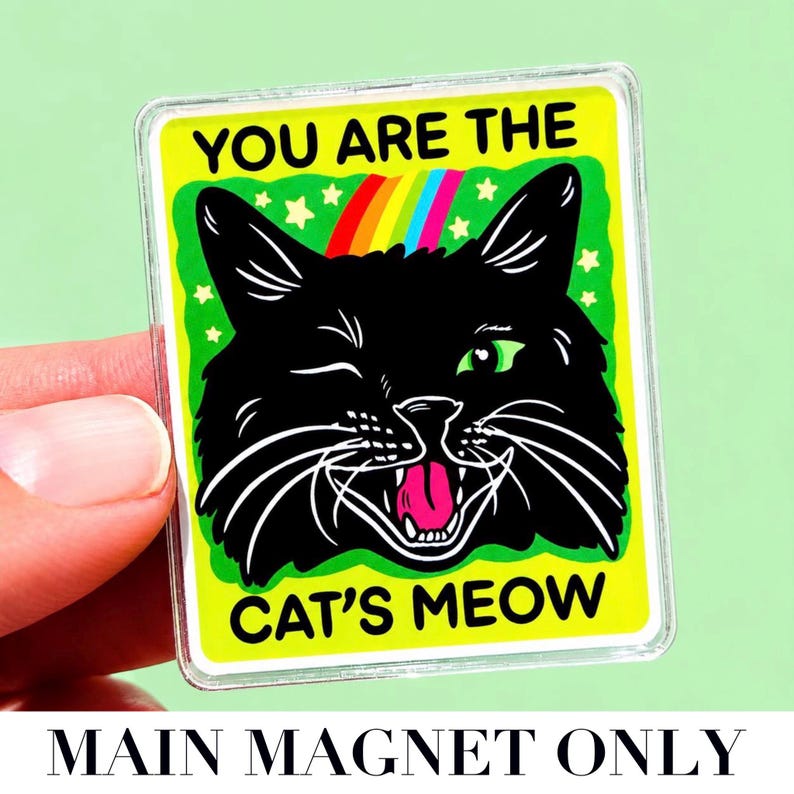 Funny Magnet Black Cat Owner Gift Funny Locker Magnet Cat Lover Decor Cute Gift Cat Themed Humor Fridge Decor Goofy Cubicle Affirmation Fun