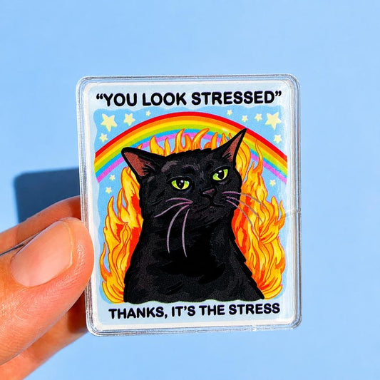 Black Cat Magnet Funny Kitty Magnet Fridge Decor Sarcastic Gift Coworker Unhinged Car Magnet Hilarious Gift for Dad Quirky Magnet Home
