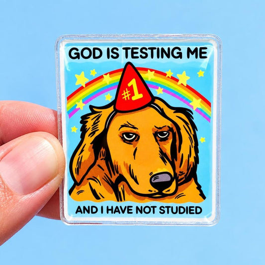 Funny Dog Magnet Hilarious Boss Gift Birthday Ironic Humor Magnet Fridge Decor Quirky Home Sarcastic Magnet Cubicle Decor Gift Dog Lover