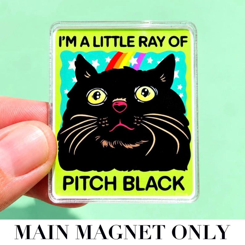 Funny Black Cat Magnet Hillarious Cat Owner Gift Vet Tech Locker Magnet Cat Lover Decor Cute Gift Idea Cat Themed Humor Fridge Decor Goofy