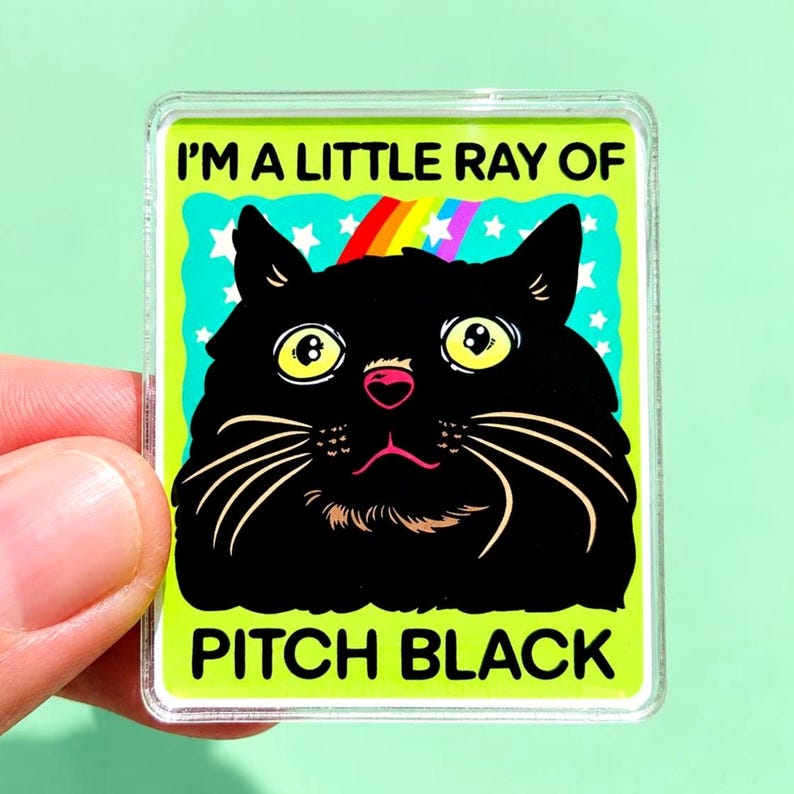 Funny Black Cat Magnet Hillarious Cat Owner Gift Vet Tech Locker Magnet Cat Lover Decor Cute Gift Idea Cat Themed Humor Fridge Decor Goofy