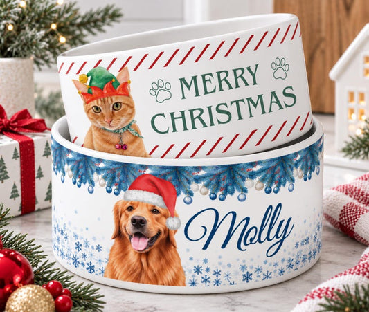 Personalized Pet Holiday Bowl With Pet Name Photo, Custom Ceramic Dog Food Water Bowl, Christmas Portrait Feeding Dish